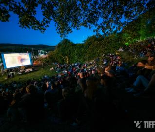Despre festival