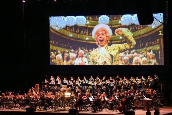 Amadeus LIVE - foto Nicu Cherciu